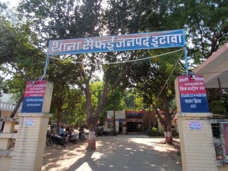 image_search_1755021946352