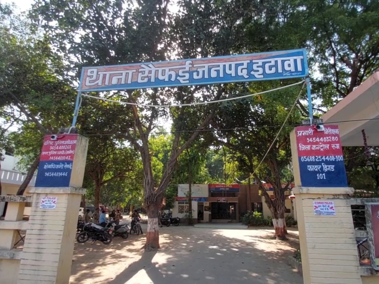 image_search_1755021946352